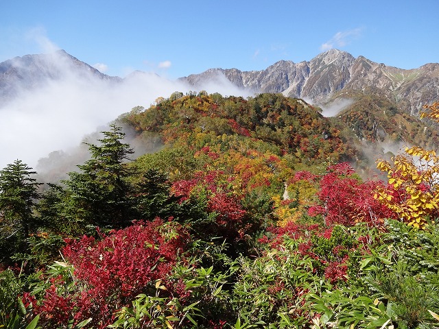 遠見尾根