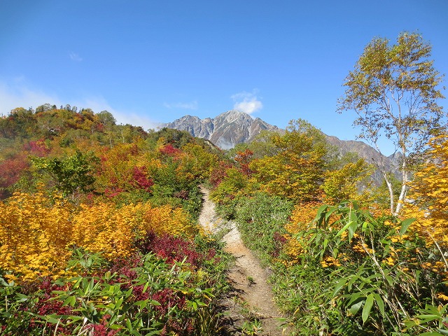 遠見尾根