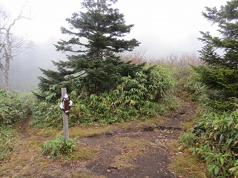 峰ノ大池分岐