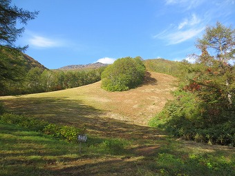 登山道