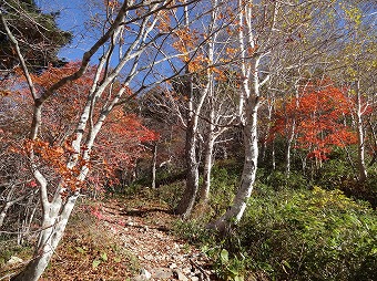 五地蔵山へ