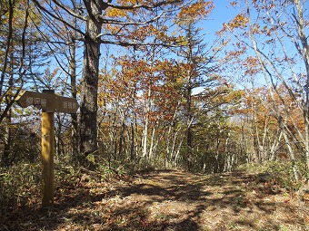 板橋峠へ