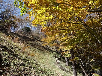 倉掛山へ