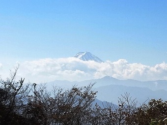 富士山