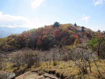 柳沢ノ頭