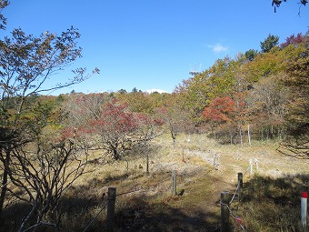 三窪高原