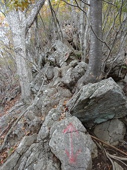 寂ショウ尾根岩稜