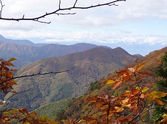 お坊山東尾根