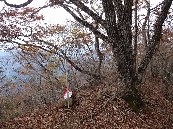 寂ショウ尾根・浜立尾根　分岐