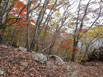 浜立尾根　紅葉