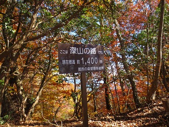 深山の路