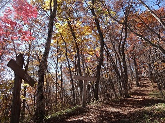 大沢山へ