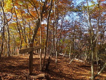 入小沢ノ峰