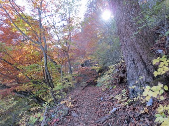 石山の路へ