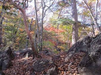 石山の路