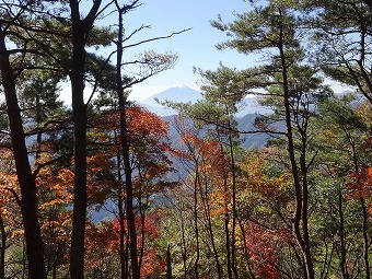 富士山