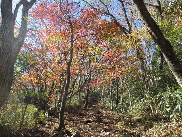 丸鉢山へ