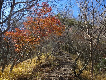 名残りの紅葉