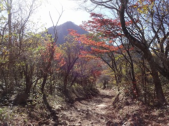 金時山へ