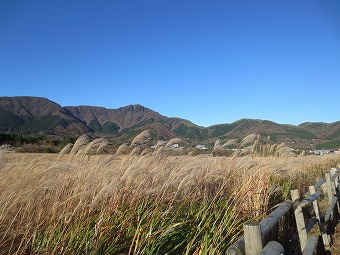 金時山