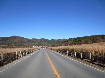 仙石原のススキ草原