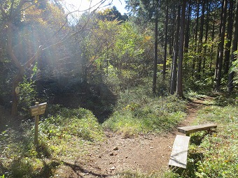 丸鉢山・足柄峠　分岐