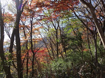 金時山