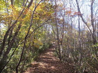 高倉山へ