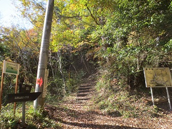 金剛山へ