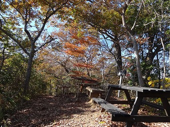 「見晴し台」ベンチ