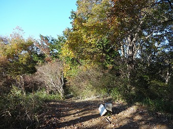 一本松山