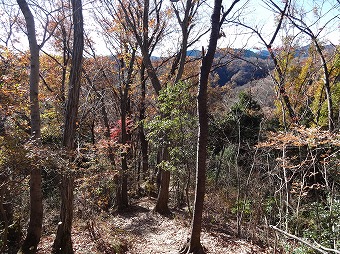 東高尾山稜