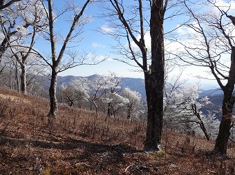 塔ノ岳方面