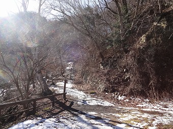 大ブナ尾根　登山口