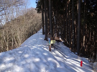 陣馬尾根へ