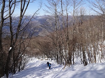 大ブナ尾根