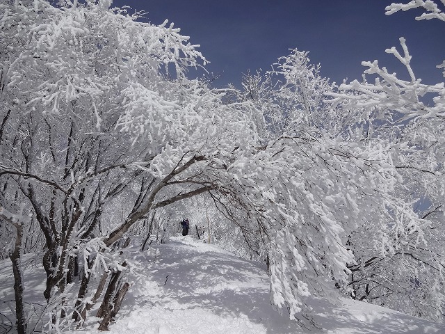 ふかふか雪道