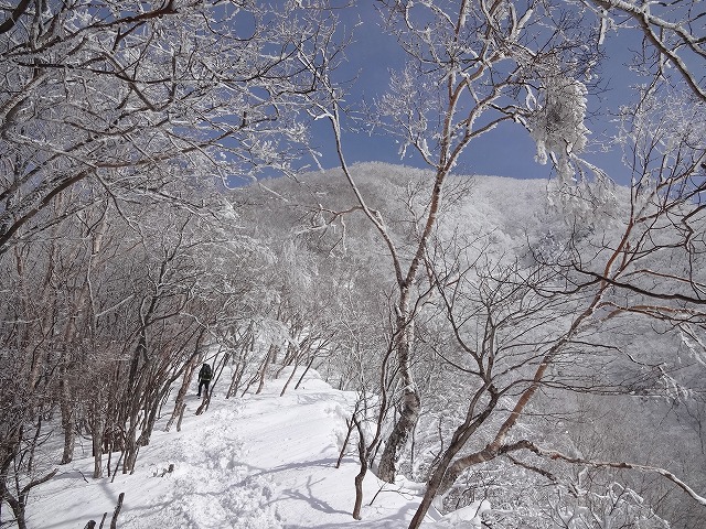 赤城山の霧氷