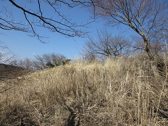 カヤトの山頂