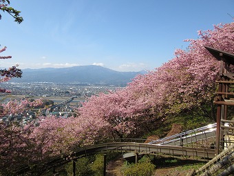 西平畑公園