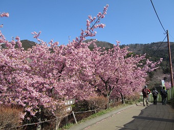 最明寺史跡公園へ