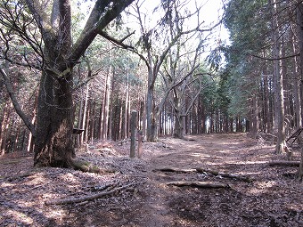 日向山分岐