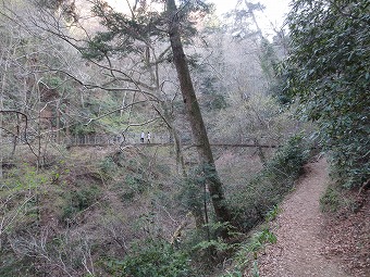 4号路　吊り橋