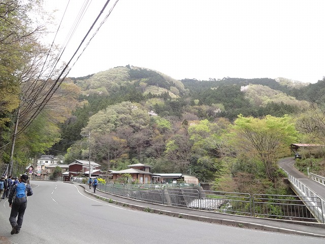 春の山