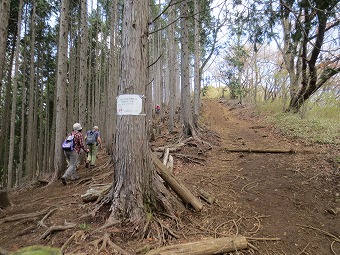 棒ノ折山へ