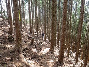 黒山へ