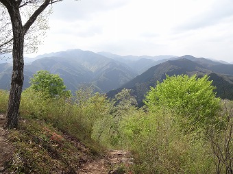 真名井北稜　　棒ノ折山