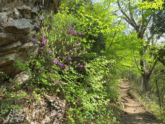 惣岳山へ