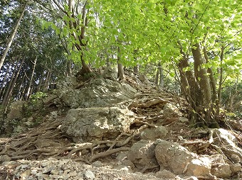 惣岳山へ