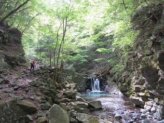 用木沢